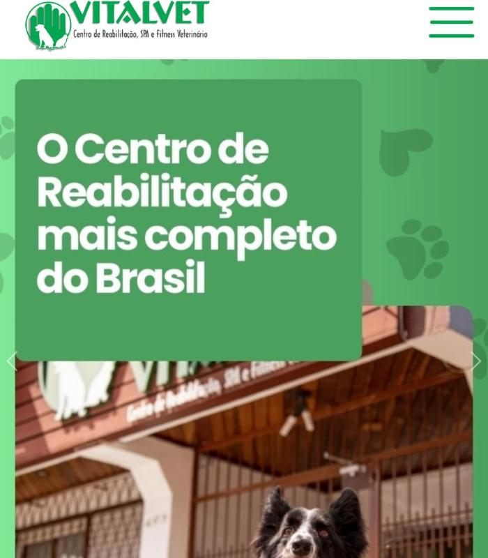 Case de Otimização de SEO para Clínica Veterinária